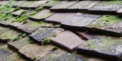 Farndish roof repair costs
